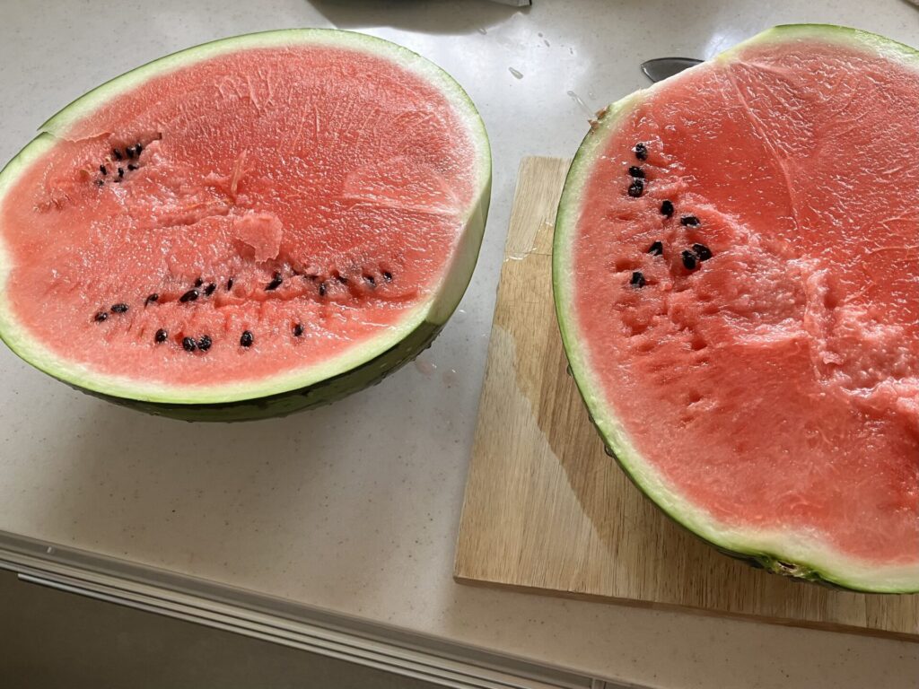 あまりに合戦小屋のスイカが美味しかったのでネットで注文して自宅でも食べているが、家で食べても甘くてシャリシャリしていて最高に美味しい。楽天で注文出来る。