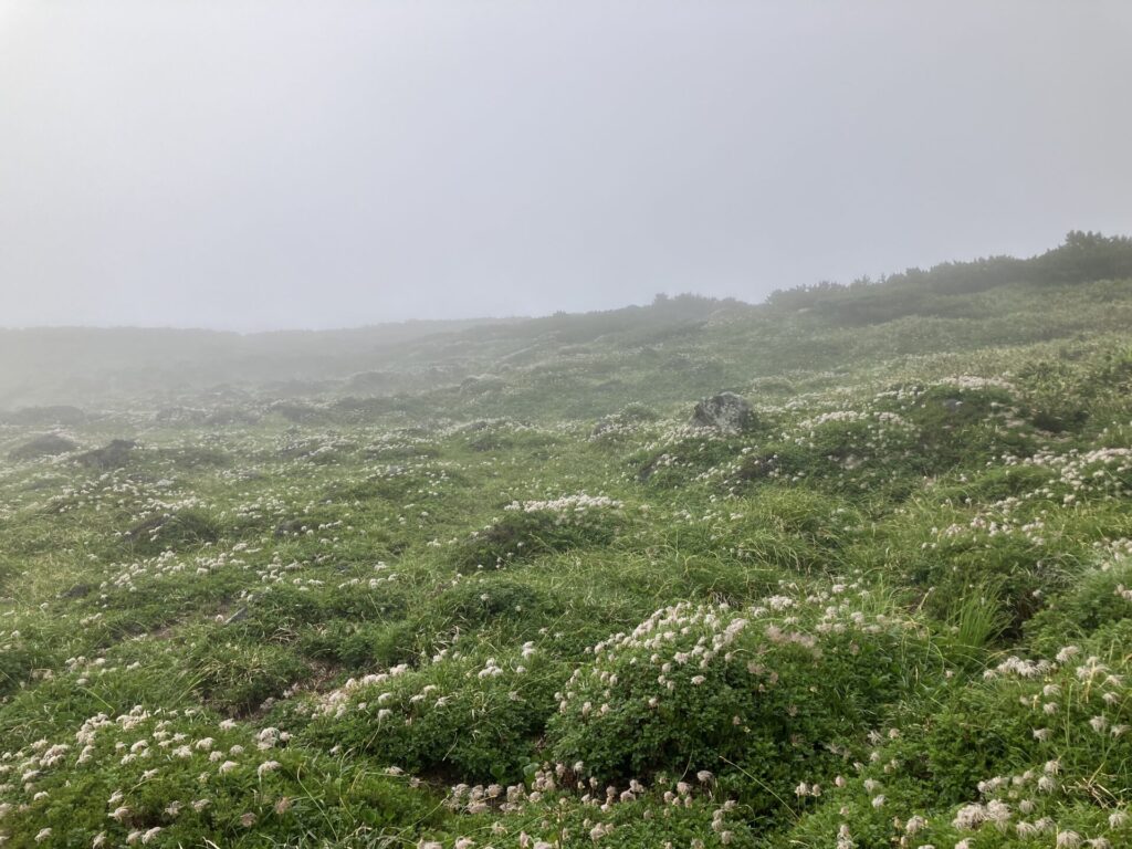 またまたガスってきた。