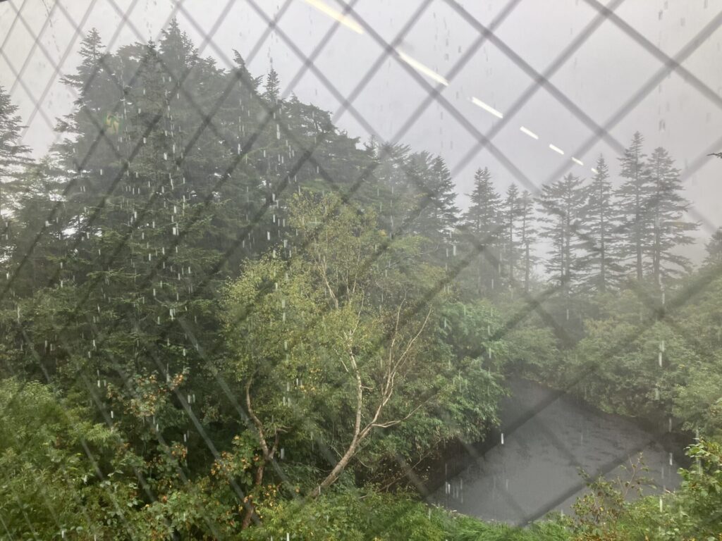 良く降る雨である