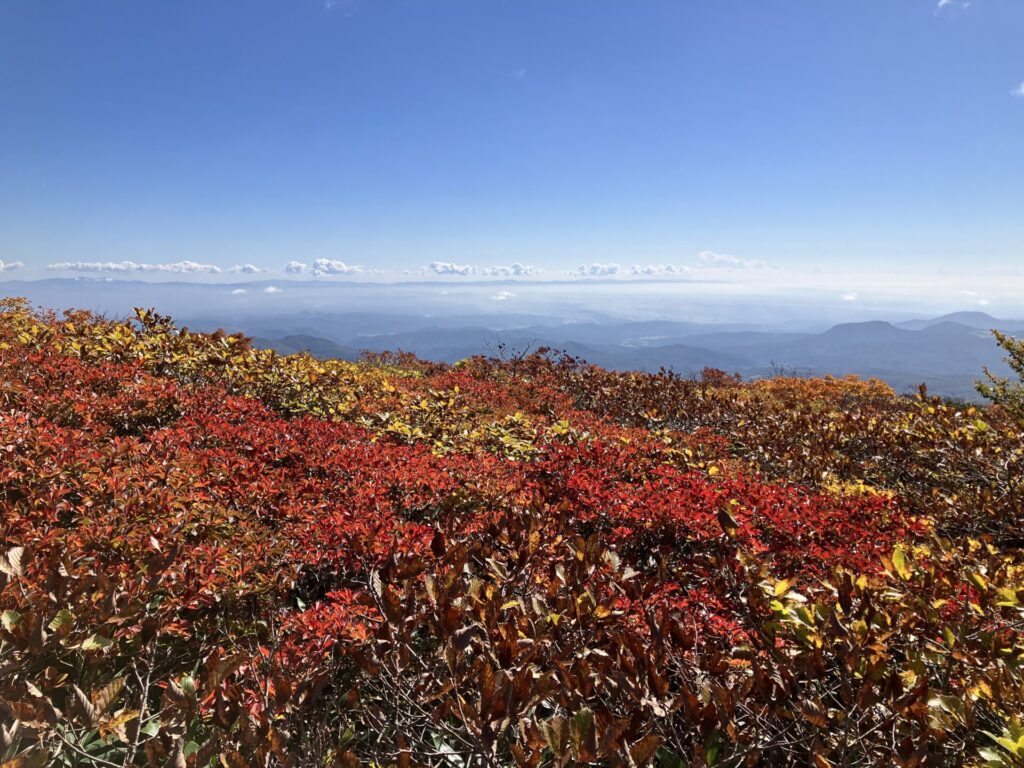 東栗駒ルート