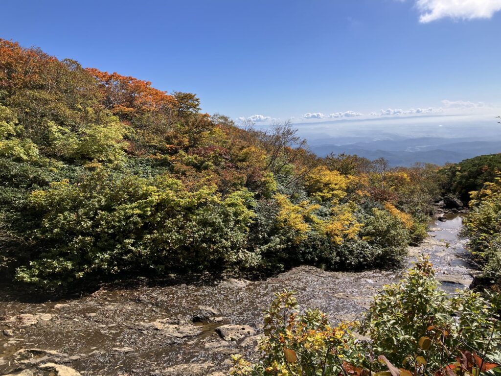 東栗駒ルート