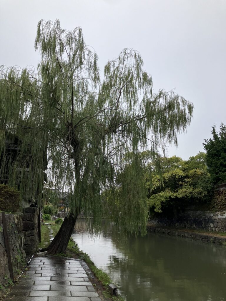 近江八幡のイメージ通りの風景