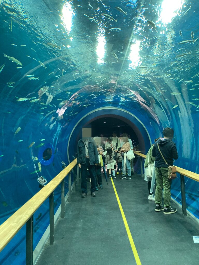 びわ博の水族展示室