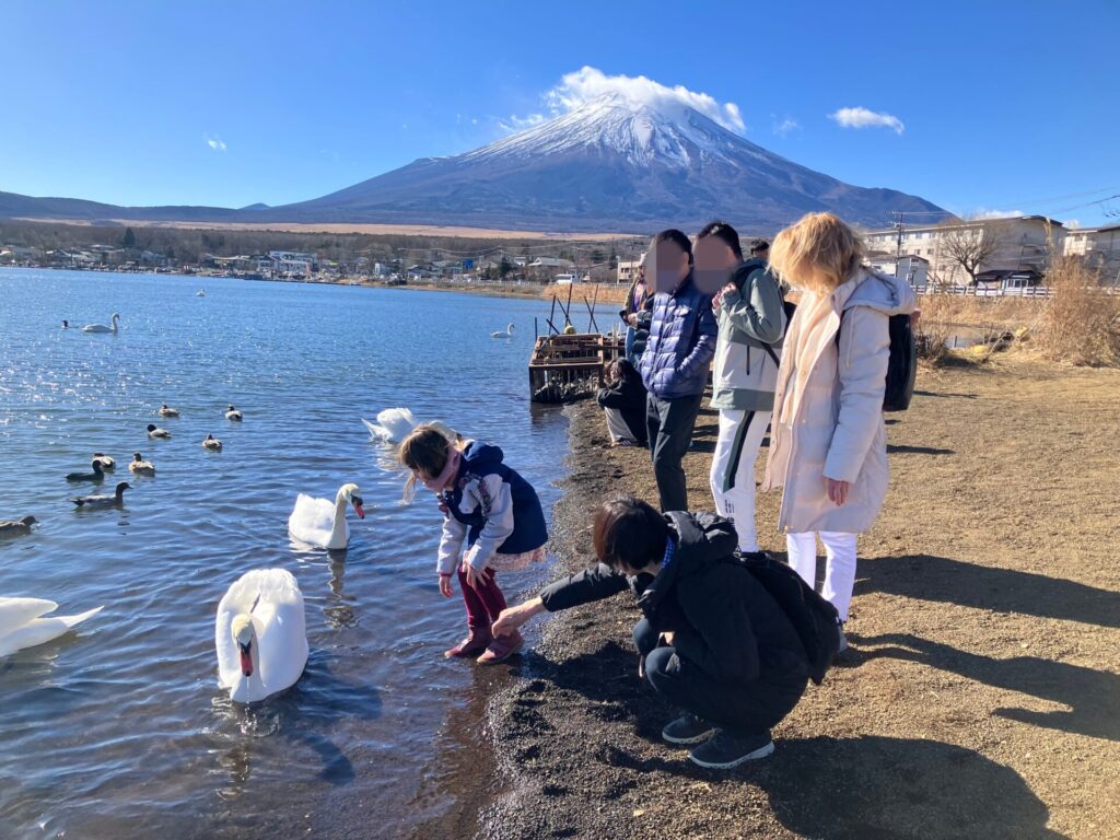 冬の美しい富士山