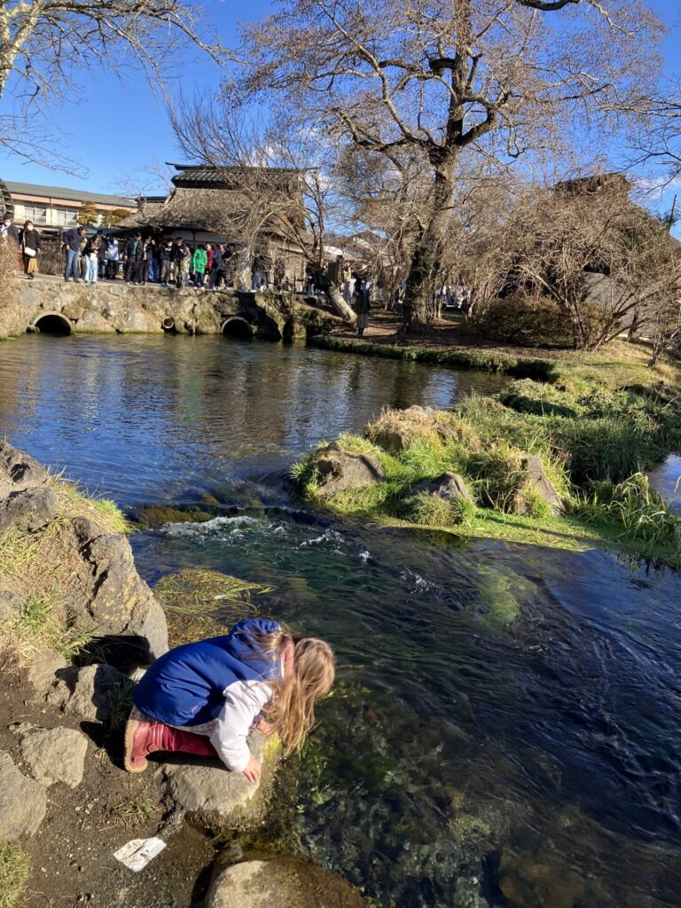 忍野八海