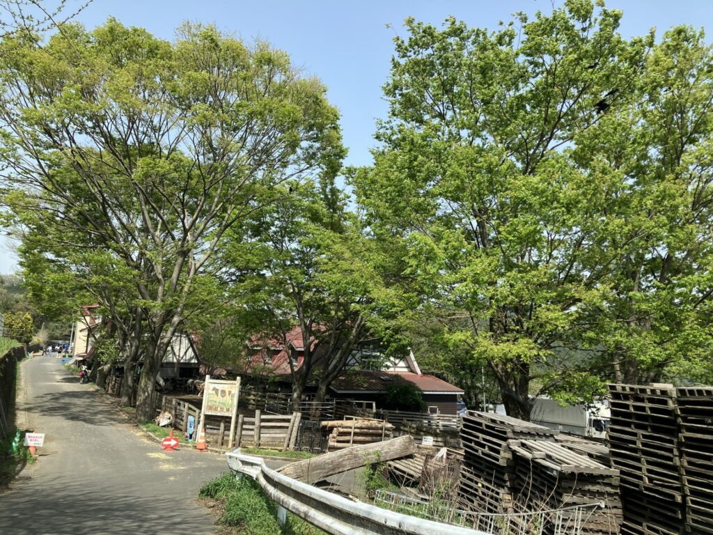 服部牧場