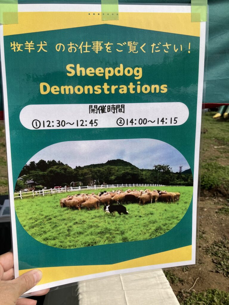 牧羊犬